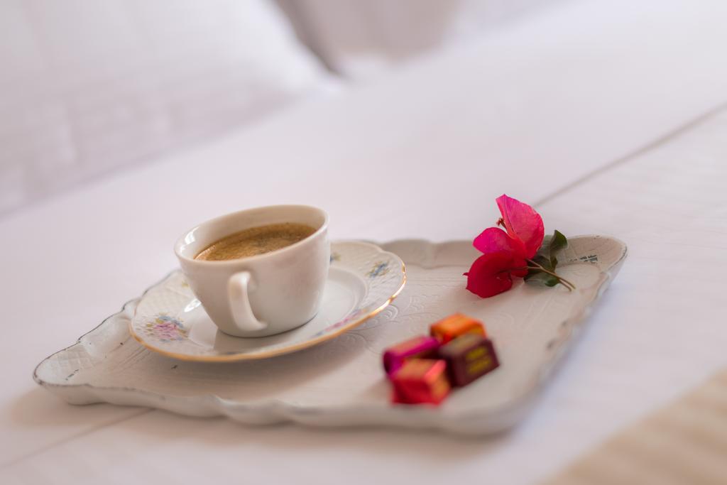 Guest house Palladian Athens